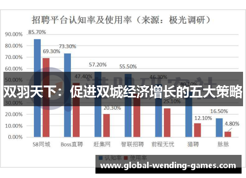 双羽天下：促进双城经济增长的五大策略