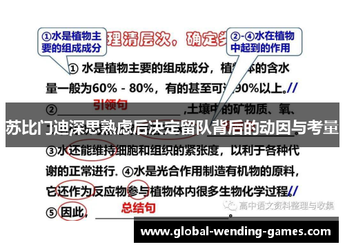 苏比门迪深思熟虑后决定留队背后的动因与考量