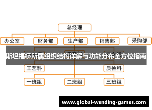 斯坦福桥所属组织结构详解与功能分布全方位指南