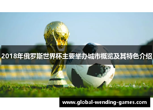 2018年俄罗斯世界杯主要举办城市概览及其特色介绍