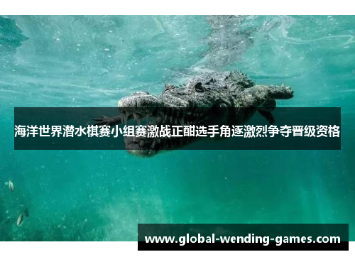 海洋世界潜水棋赛小组赛激战正酣选手角逐激烈争夺晋级资格 海洋世界潜水棋赛小组赛激战正酣选手角逐激烈争夺晋级资格